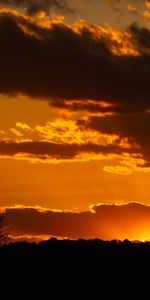 Nature,Arbres,Sky,Sun,Silhouette,Coucher De Soleil