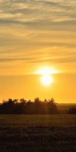 Nature,Trees,Sunset,Sun,Field,Landscape