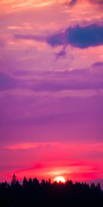 Nature,Arbres,Sky,Coucher De Soleil,Sun