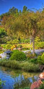 Nature,Trees,Track,Shades,Brightly,Garden,China