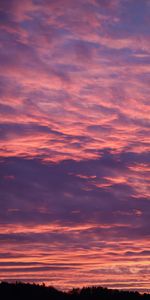 Nature,Nuages,Arbres,Crépuscule,Sombre