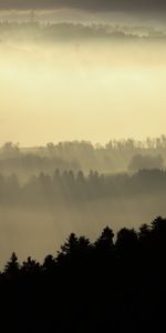 Nature,Brouillard,Les Collines,Collines,Arbres,Crépuscule