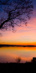 Nature,Arbres,Grandes Lignes,Contours,Coucher De Soleil,Lac,Crépuscule