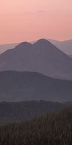 Nature,Trees,Twilight,Vertex,Dusk,Tops,Mountains