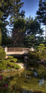 Nature,Trees,Vegetation,Bridge,Pond,Pebble