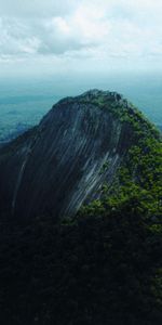 Nature,Trees,Vertex,Top,Peak,Height,Ridge,Spine,Gloomy