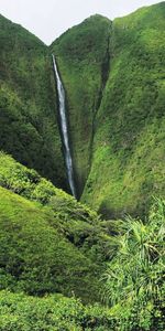 Cascada,Árboles,Vegetación,Jungla,Verduras,Selva,Naturaleza