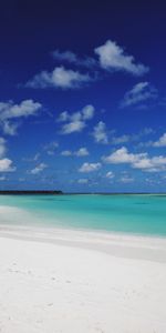 Nature,Tropical,Island,Palms,Sand,Maldives,Beach