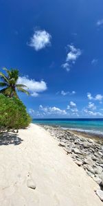 Arena,Costa,Palms,Tropical,Naturaleza,Playa