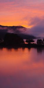 Árboles,Puesta Del Sol,Crepúsculo,Oscuridad,Naturaleza,Nubes,Isla