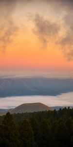 Nature,Twilight,Clouds,Mountain,Dusk,Trees,Landscape