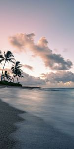 Nature,Twilight,Dusk,Palms,Coast,Beach