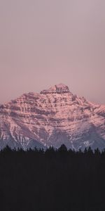 Nature,Montagne,Sommet,Retour Au Début,Forêt,Crépuscule,Paysage