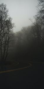 Nature,Twilight,Road,Turn,Dusk,Haze,Fog