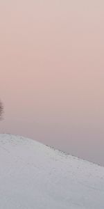 Nature,Twilight,Tree,Dusk,Hill,Wood,Snow,Winter