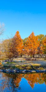 Naturaleza,Parque Botánico,Parque Botanico,Estanque,Texas,Ee Uu,Estados Unidos,Otoño