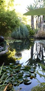 Nature,Vegetation,Pond,Leaves,Water Lilies,Statue