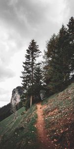 Nature,Vertex,Top,Path,Climb,Landscape,Trees,Lift