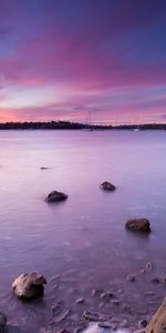 Naturaleza,Paisaje,Violeta