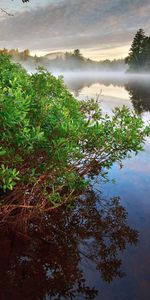 Nature,Water,Bush,Rock,Lake,Smooth,Surface,Stone,Steam,Forest,Fog,Silence