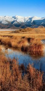 Nature,Water,Grass,Mountains,Swamp,Autumn