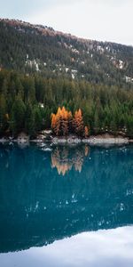 Nature,Water,Lake,Reflection,Slope,Forest