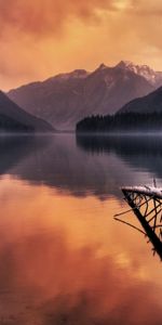 Nature,Water,Lake,Tree,Evening,Wreckage,Detritus,Mountains,Wood,Fog