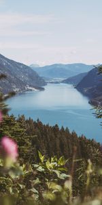 Nature,Water,Mountains,Forest,Bay,Landscape