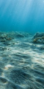 Nature,Water,Rays,Beams,Bottom,Coral,Sand