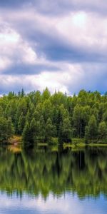 Forêt,Réflexion,Nature,Loger,Petite Maison,Eau