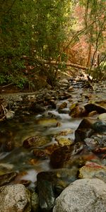 Nature,Water,Rivers,Stones,Creek,Brook,Trees