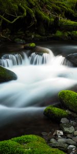 Nature,Water,Rivers,Stones,Moss,Brook,Creek