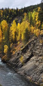 Naturaleza,Agua,Ríos,Árboles,Bosque,Otoño