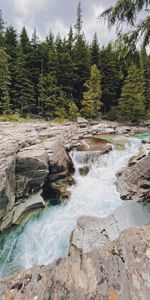 Nature,Water,Rivers,Trees,Stones,Landscape