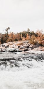 Nature,Arbres,Noyaux,Eau,Couler,Ruisseau,Rivières