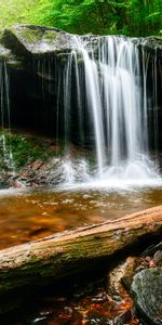 Nature,Water,Rocks,Waterfall,Log,Landscape