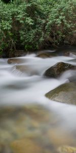 Nature,Water,Stones,Fog,Plants