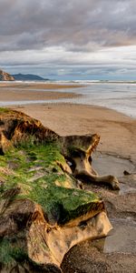 Naturaleza,Agua,Stones,Mar,Horizonte,Algas Marinas,Algas,Playa