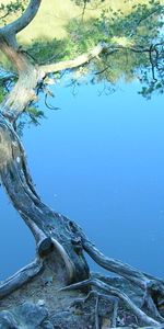 Naturaleza,Stones,Lago,Orilla,Banco,Árbol,Cuesta,Inclinación,Agua,Madera