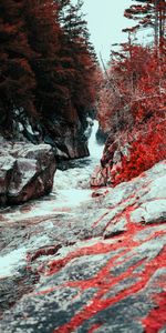 Nature,Water,Stones,Waterfall,Flow,Red Leaves