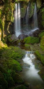 Nature,Mousse,Eau,Noyaux,Ruisseau,Cascade