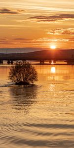 Nature,Water,Sunset,Sun,Beams,Rays,Bridge