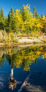 Nature,Water,Trees,Autumn,Lake,Reflection