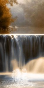 Nature,Water,Trees,Bird,Waterfall,Crane