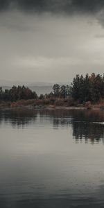 Nature,Water,Trees,Bush,Reflection