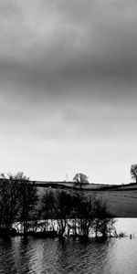 Nature,Water,Trees,Coast,Bw,Chb