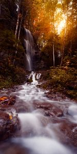 Nature,Water,Trees,Flow,Stream,Stones,Waterfall