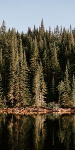 Naturaleza,Agua,Árboles,Lago,Reflexión,Bosque