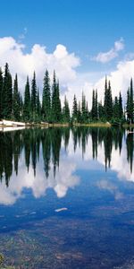 Canada,Eau,Conifères,Conifère,Transparent,Réflexion,Banque,Lac,Rive,Arbres,Nature