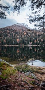 Nature,Water,Trees,Mountain,Lake,Reflection